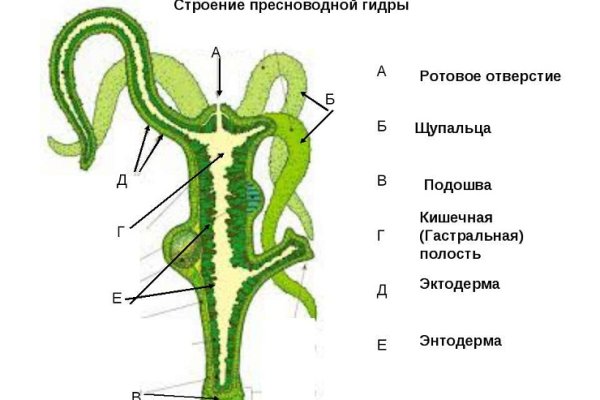 Kraken зеркало